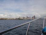 Seattle Skyline1