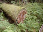End of log