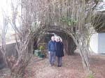 025Yew_tree_archway_at_Bremore_house