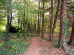 070Woodland_trail_at_Dunbrody_Country_House