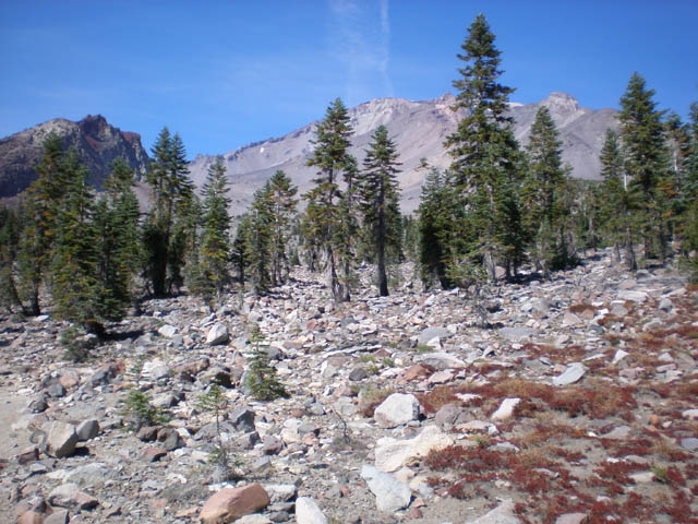 16Panther_Meadows