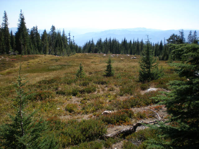 26Panther_Meadows