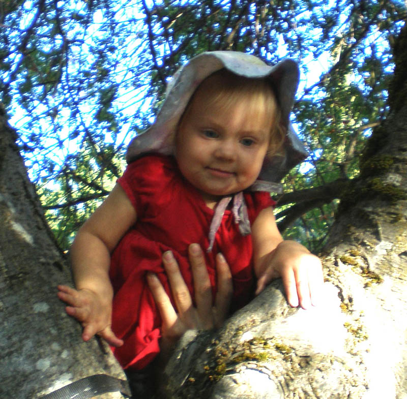 45Kayla_in_tree