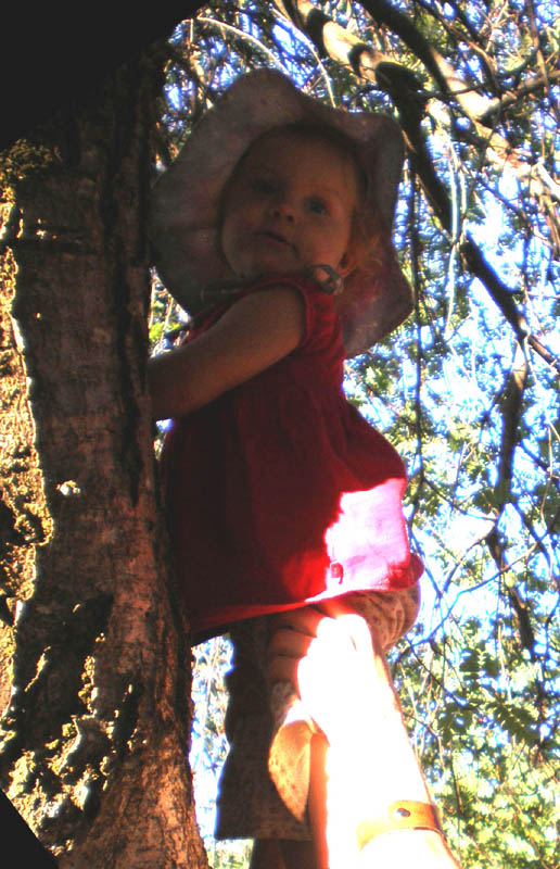 54Kayla_in_tree