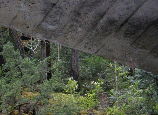 25_Drip_Water_Stalactites