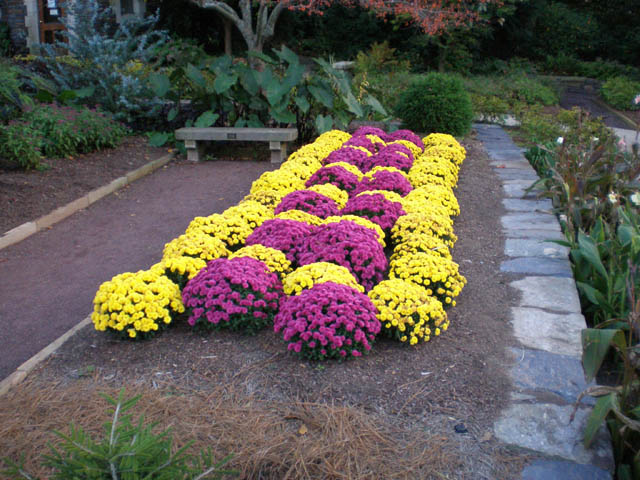 10flowers_Duke_Gardens