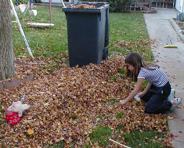 10Baylea_McKennah_leaves