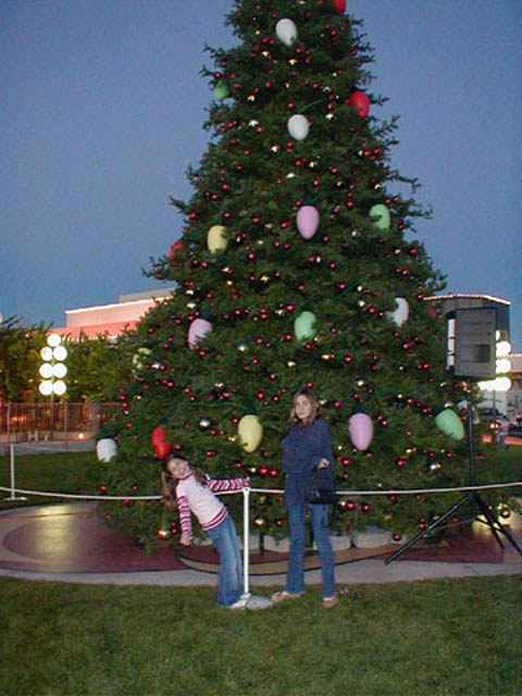 32Jelly_Belly_tree
