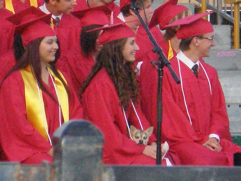 10somebody_made_them_laugh