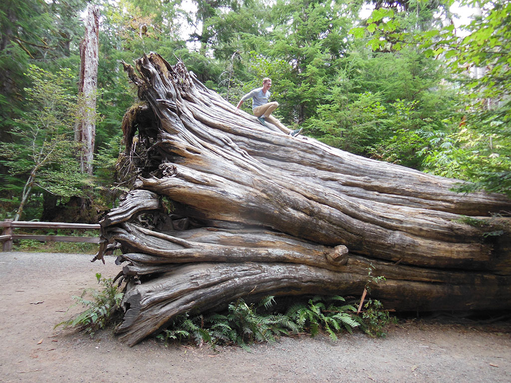 Nick on Top of Big Cedar