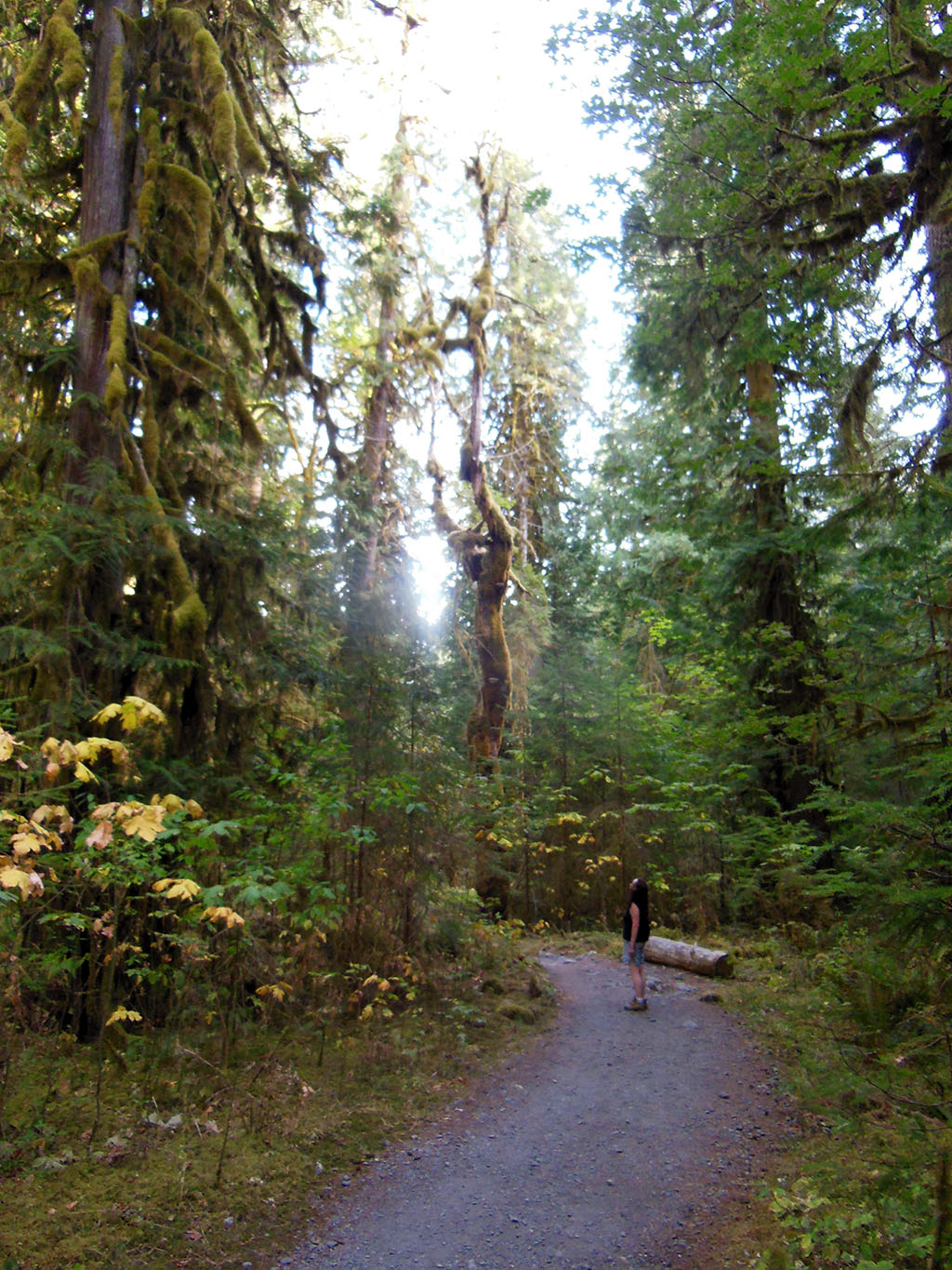 Sue on Staircase Rapids Trail