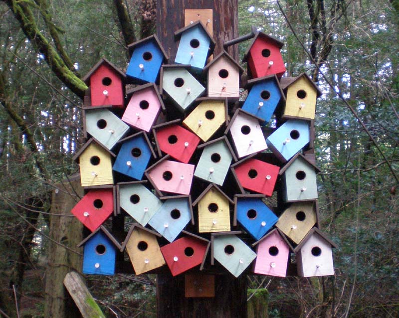 19Woodacre_birdhouses