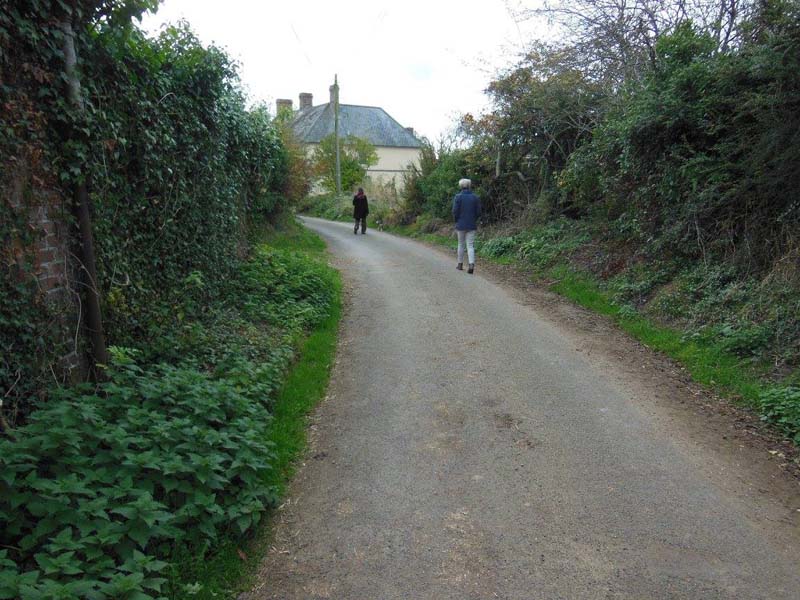 108Good_day_for_a_walk_in_Glemsford_England