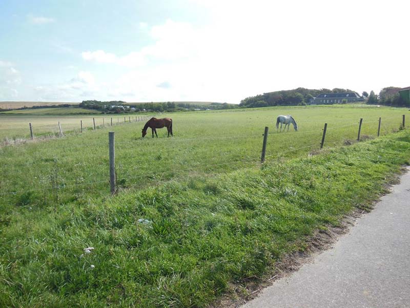 49Walk_from_Wimereux_to_Wimille_Sept15