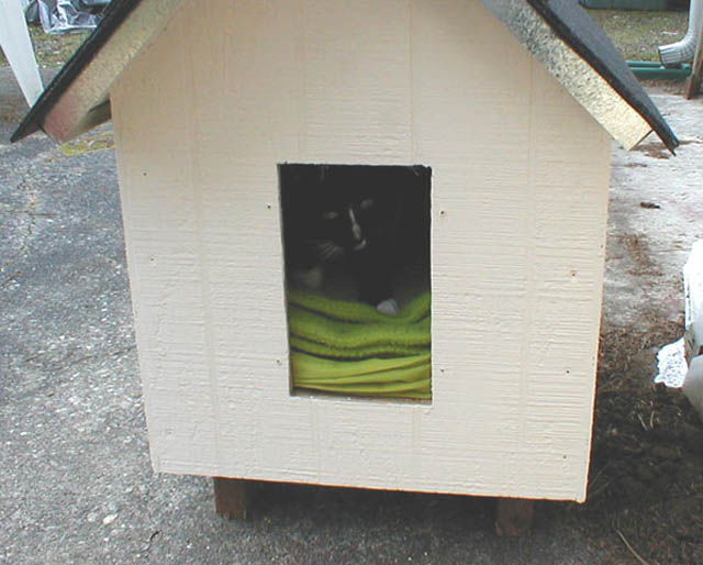 20LB_in_cat_house01