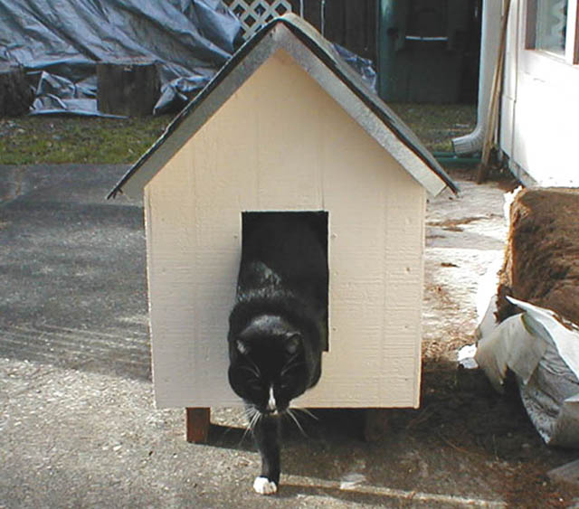 22LB_exit_cat_house