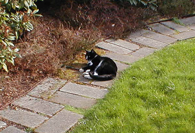 23LB_in_yard