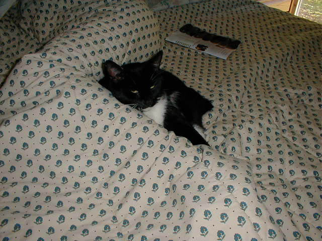 03_September_06_2003