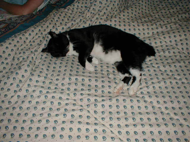 04_September_07_2003