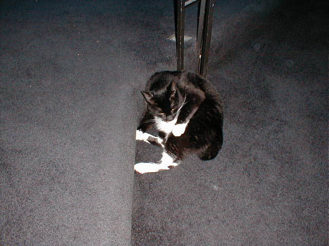 05_September_09_2003