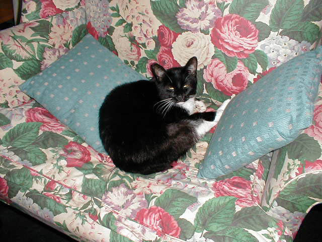 06_September_09_2003