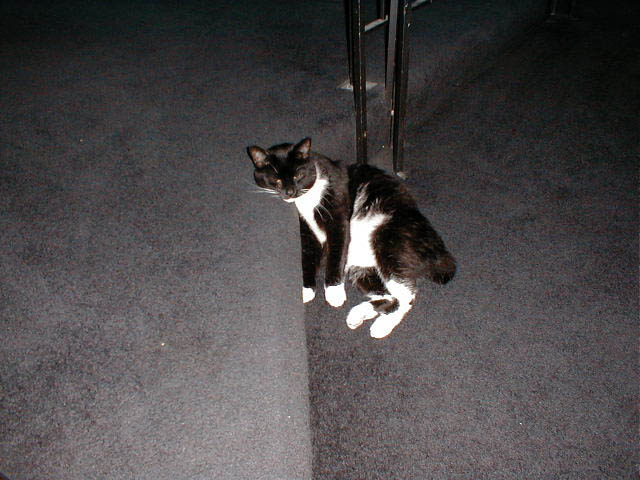 09_September_24_2003