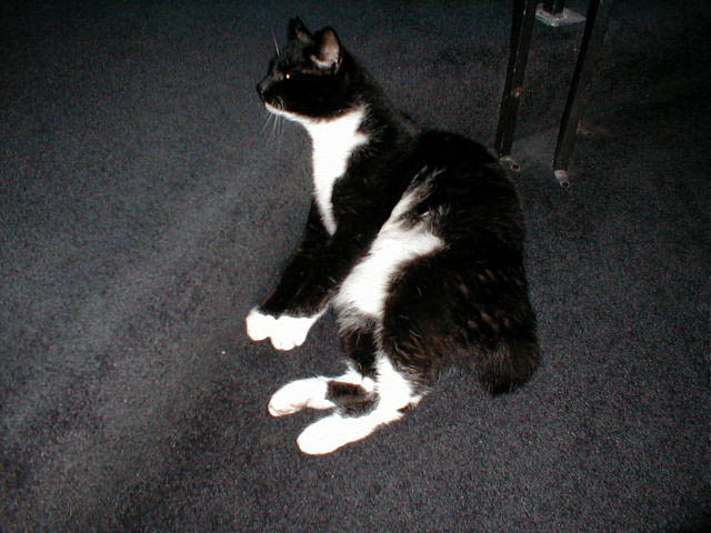 10_September_24_2003