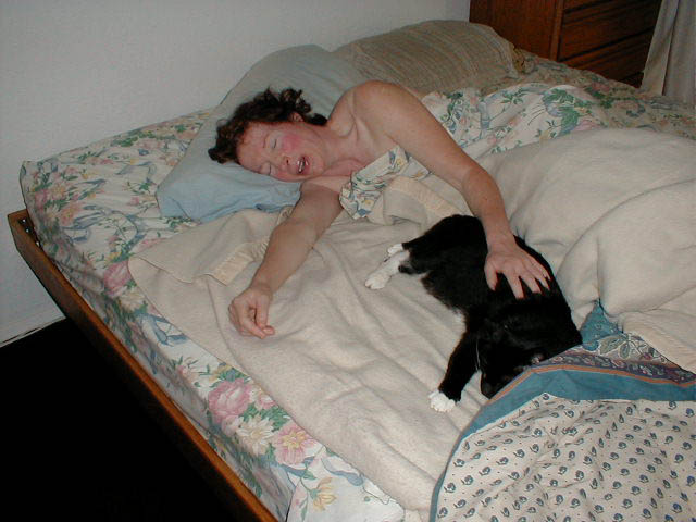 11_September_28_2003