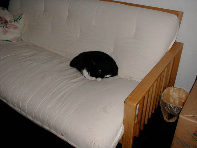 12_September_29_2003