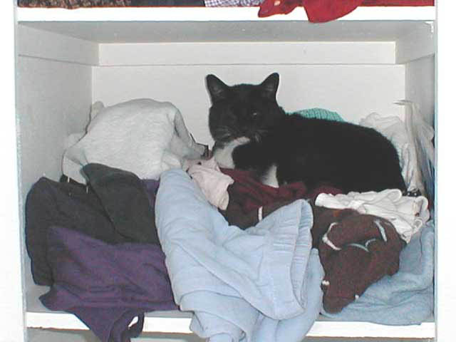 42_September_09_2006