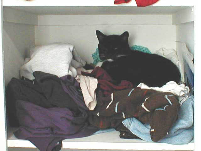 43_September_09_2006