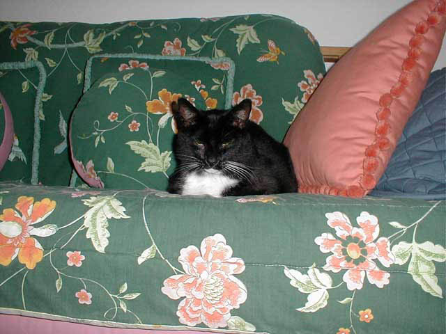 44_September_13_2006