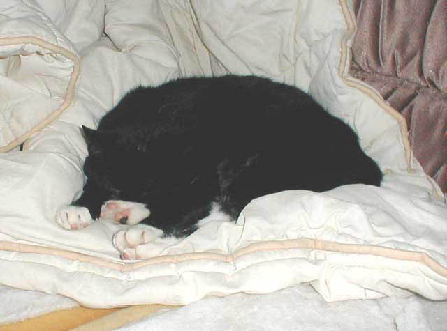 45_September_15_2006