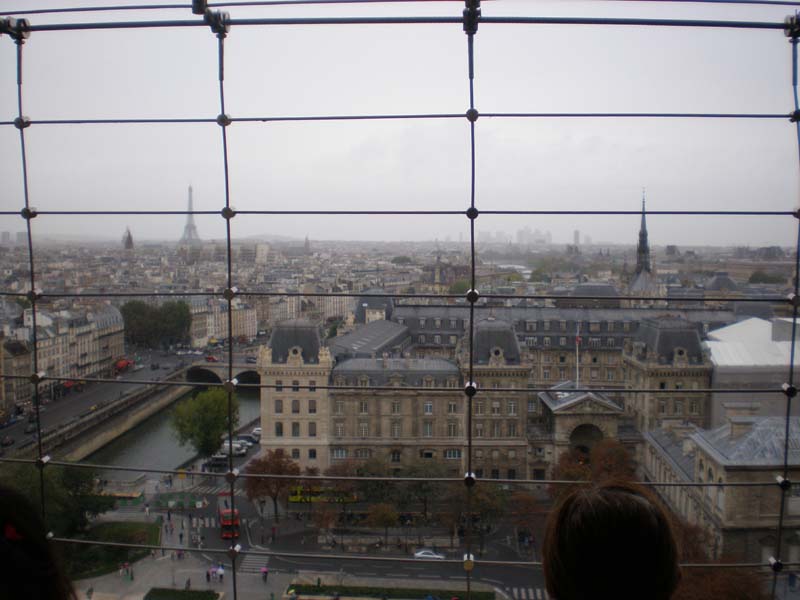 10Notre_Dame_tower_view