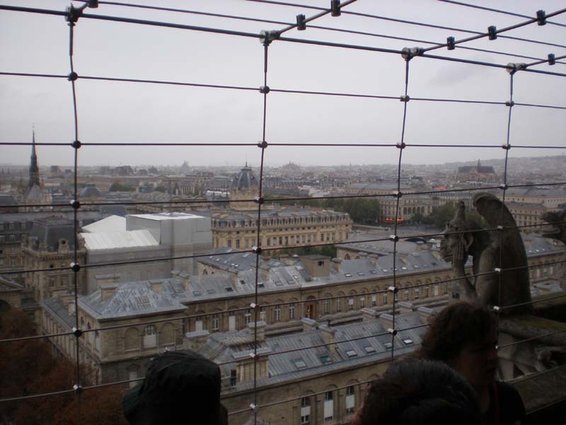 11Notre_Dame_tower_view