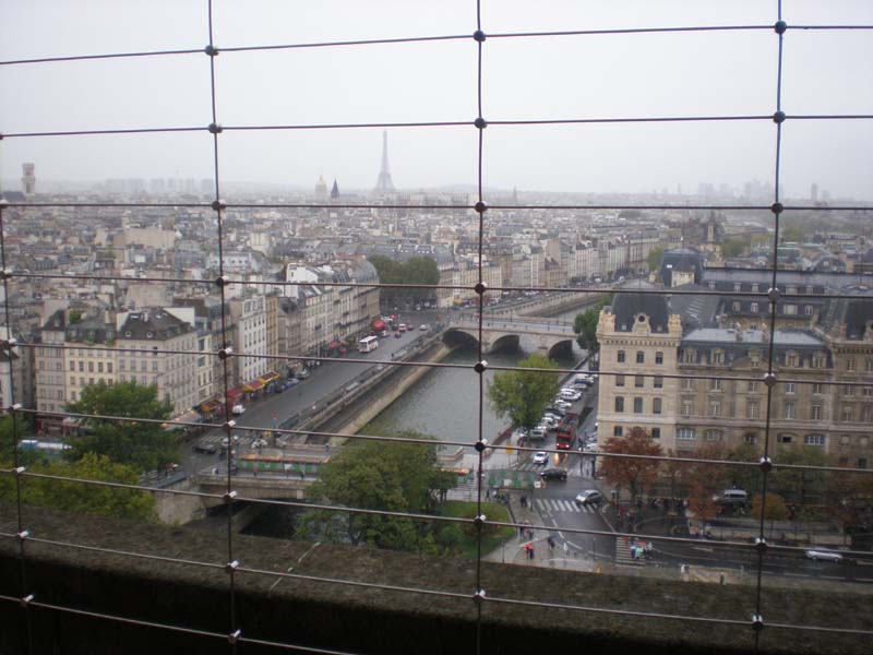 15Notre_Dame_tower_view_thru_fence