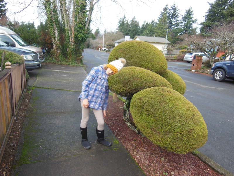 13Kayla_resting