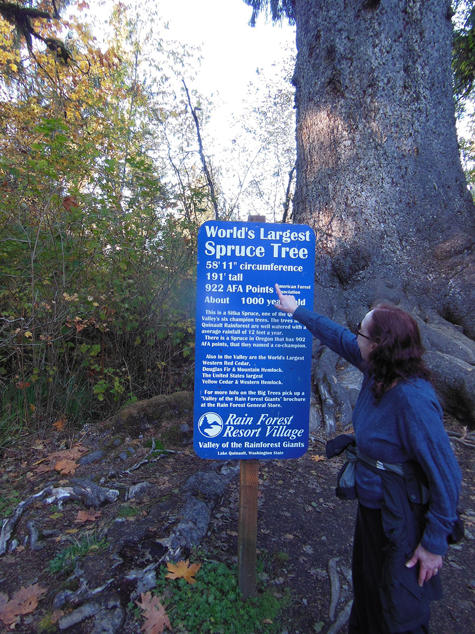 Tree Sign 06