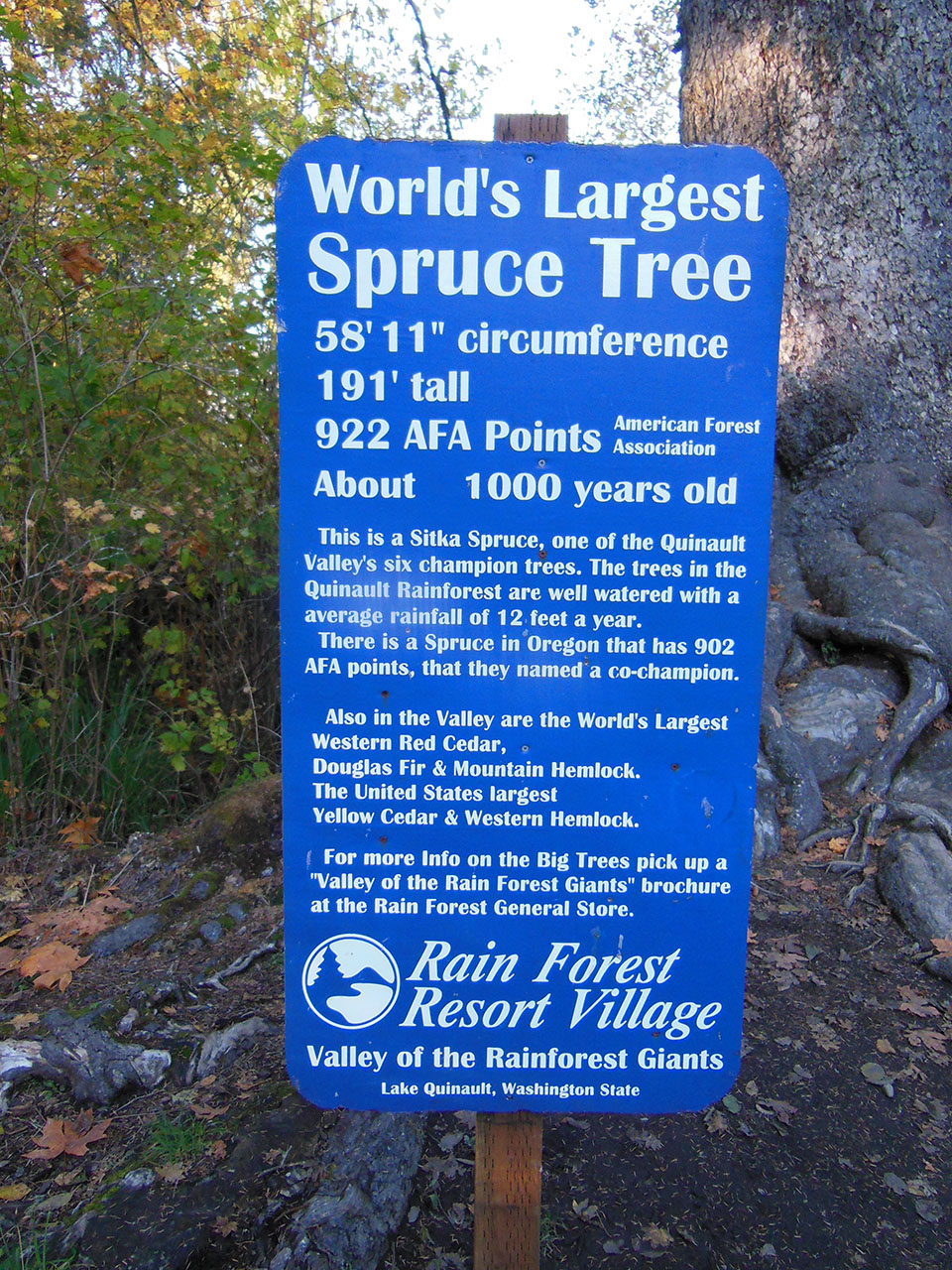 Tree Sign 07