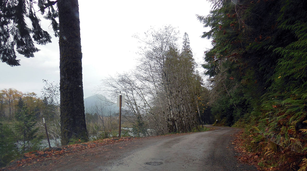 South Shore Road 23