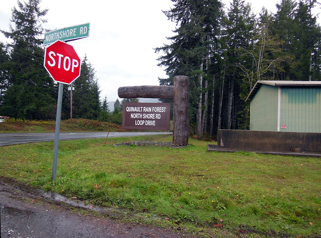 Rain Forest Sign 27