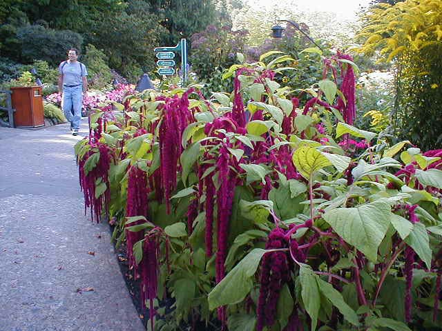 07_What_are_these