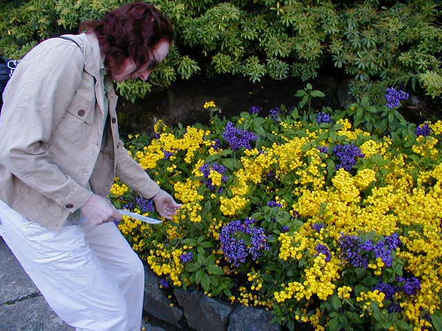 08_Yellow_and_blue