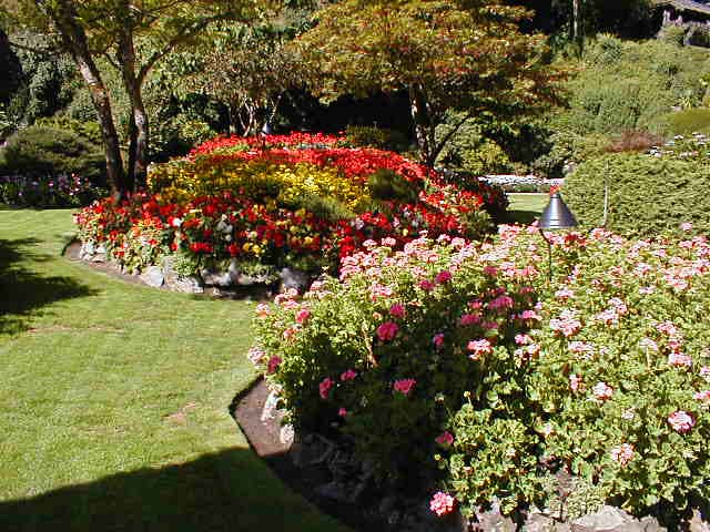 14_Flower_beds