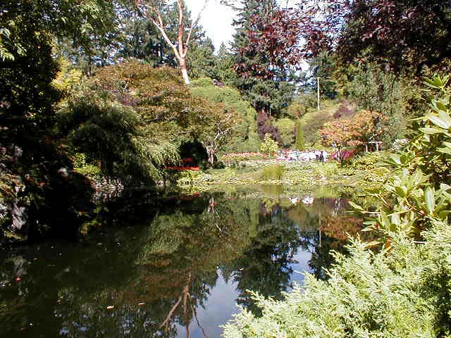 22_Pond