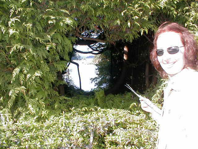 50_Japanese_garden_window