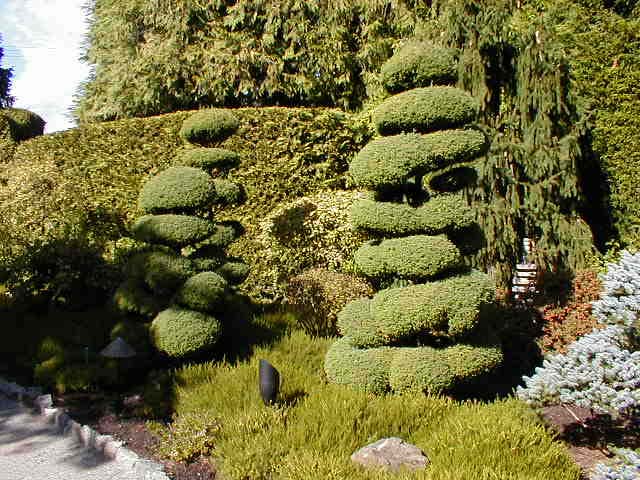 52_Japanese_garden2