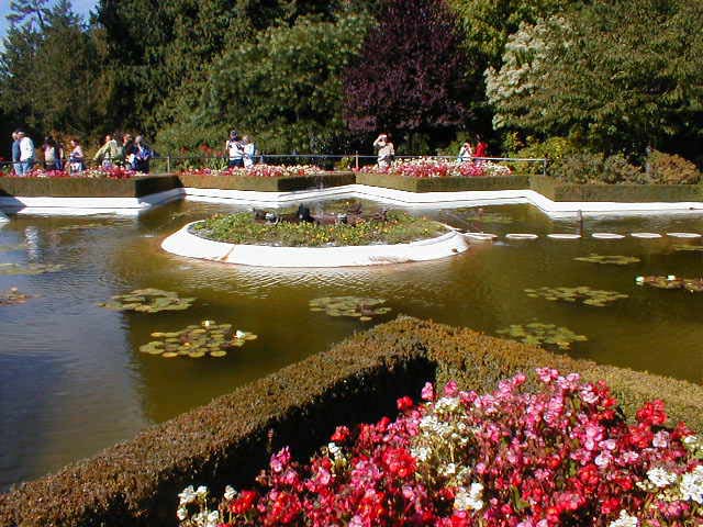 53_Star_pond